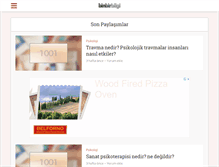 Tablet Screenshot of binbirbilgi.net
